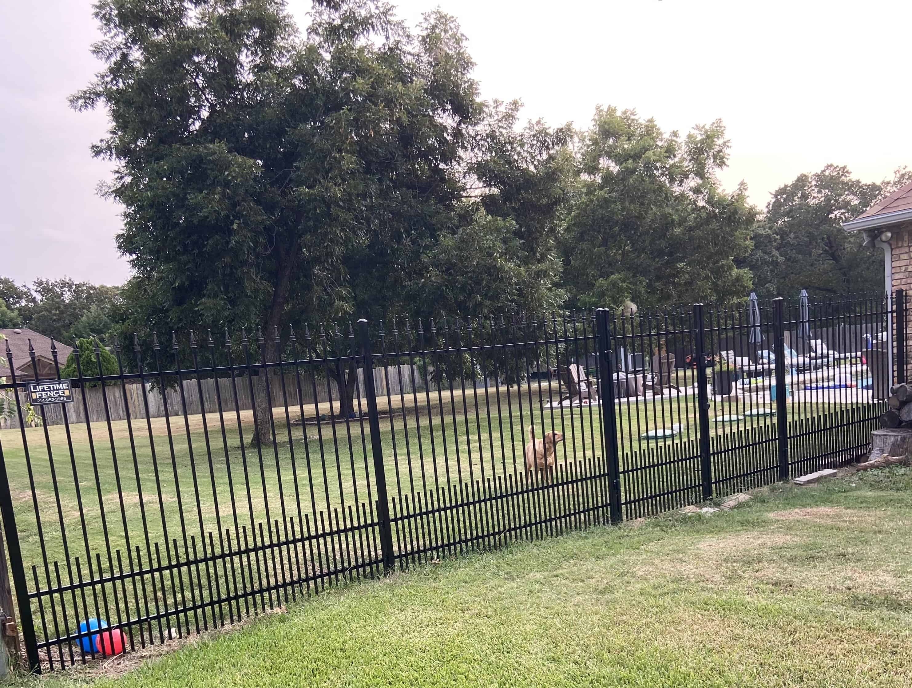 Heavy duty ornamental steel fence Fort Worth TX