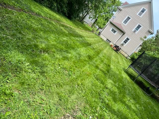 Lawn care and yard mowing in Elyria OH