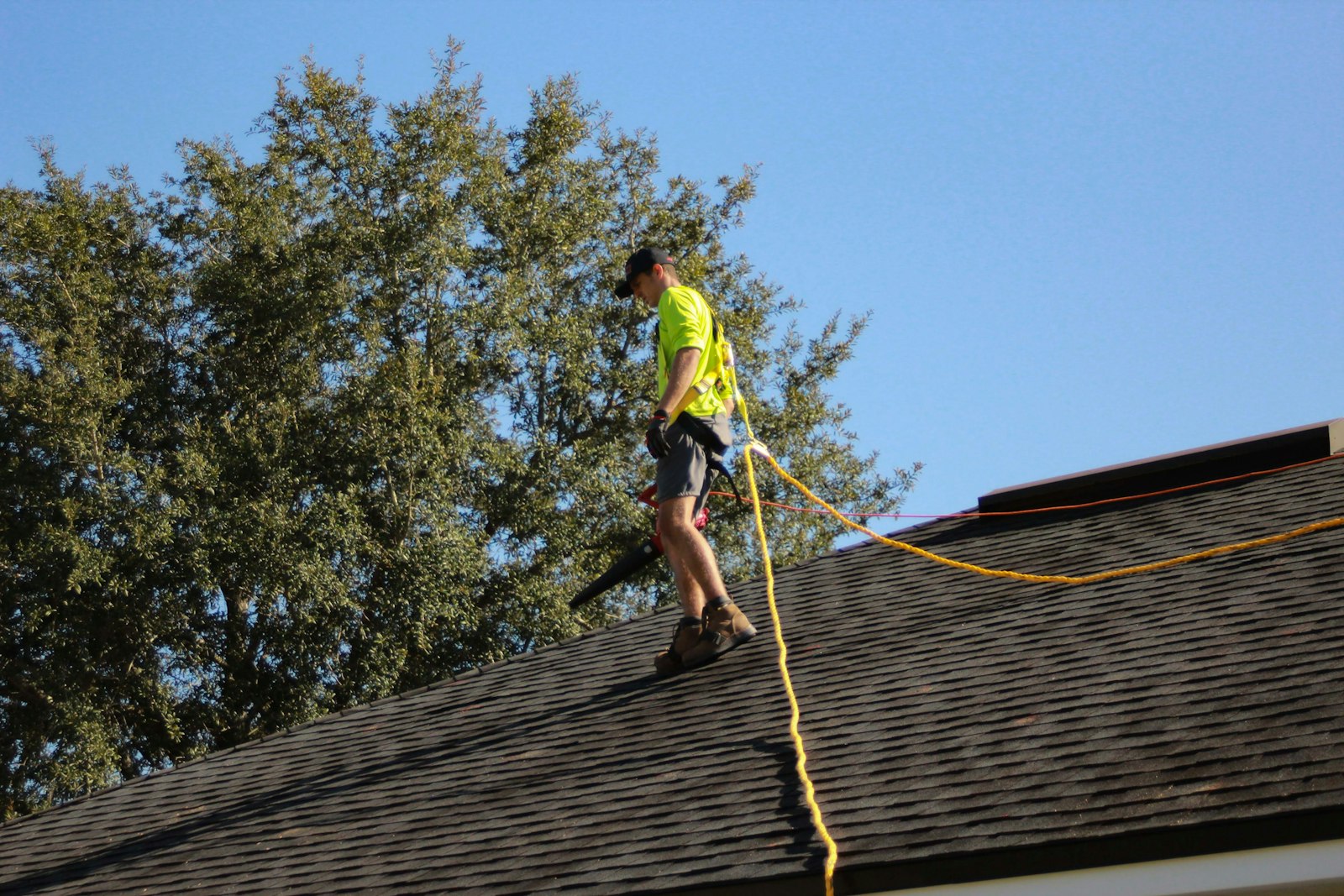 Roof structure during restoration work